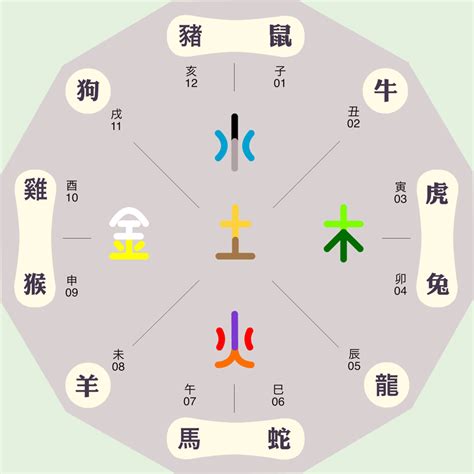 怡五行屬性|怡字的五行属性是什么